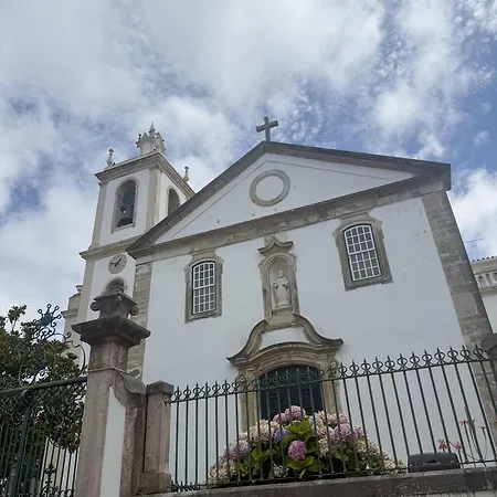 Casa Ancoras Historic In Buarcos Portugal Bicas