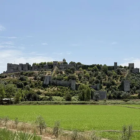 Casa Ancoras Historic In Buarcos Portugal Bicas