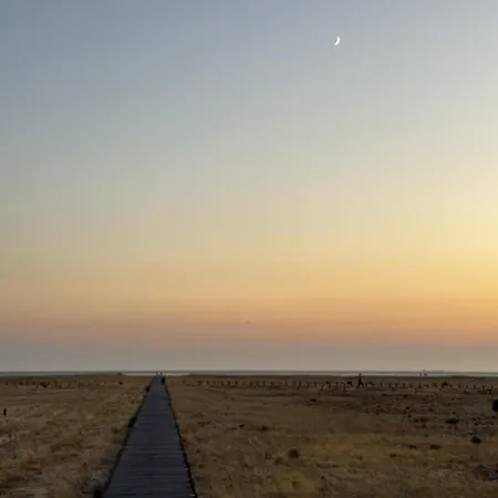 Casa Ancoras Historic In Buarcos Portugal Pensionat Bicas