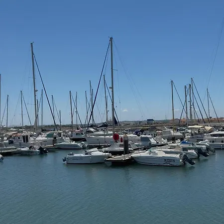 Casa Ancoras Historic In Buarcos Portugal Gasthof Bicas