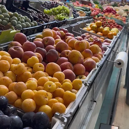 Casa Ancoras Historic In Buarcos Portugal 3* Bicas